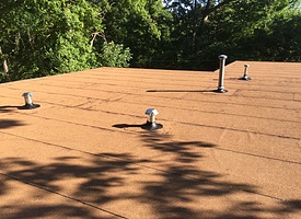 Flat Roof 6