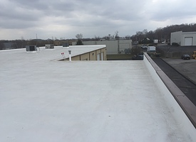 Roof Coating 2