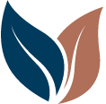 Leaves Icon